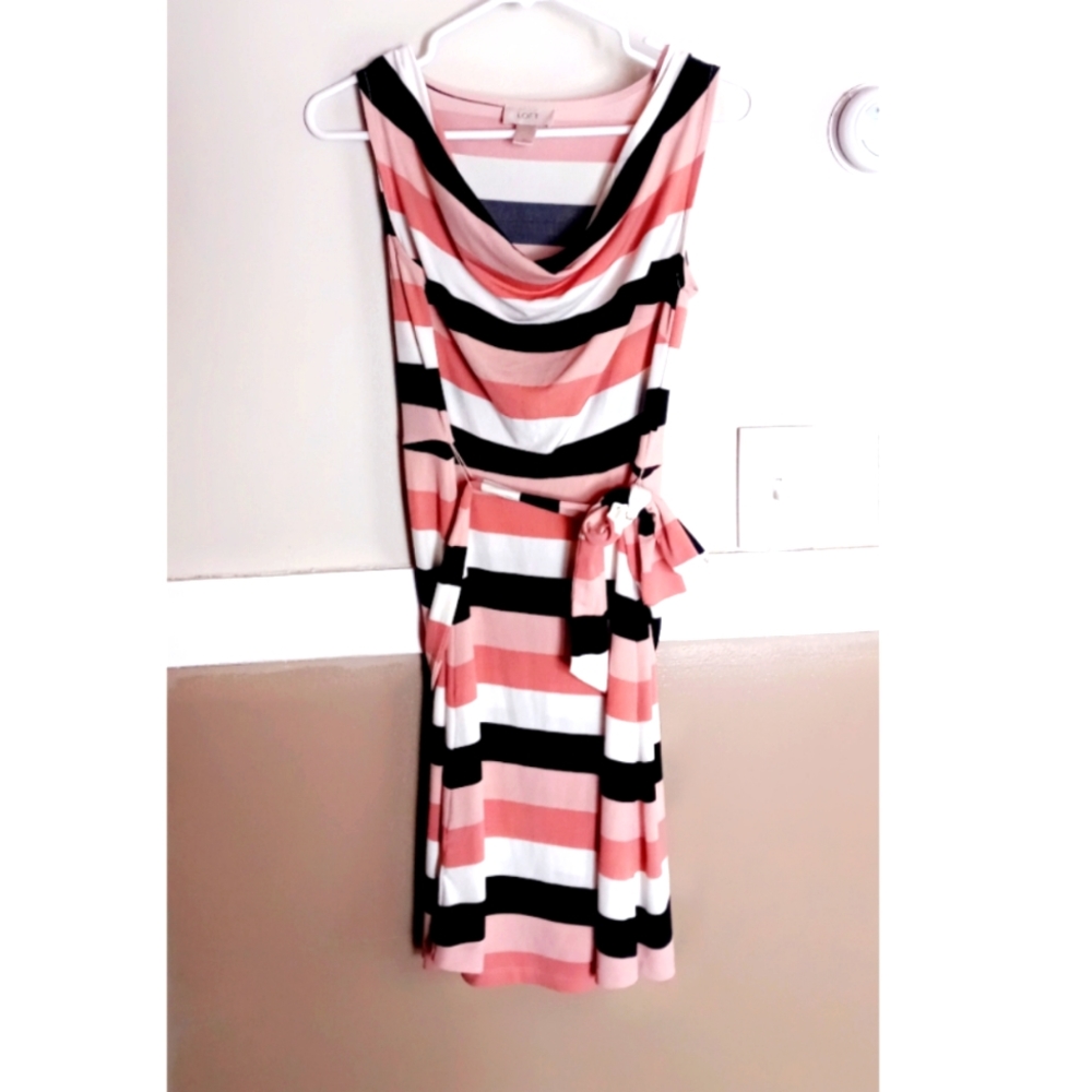 Ann Taylor Loft Pink Black Striped Dress